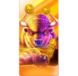 Buffalo
King